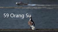 59 Orang Sudah Mendaftar Capim KPK