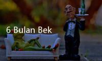 6 Bulan Bekerja, TGPF Novel Baswedan Gagal Ungkap Pelaku, Apalagi Aktor Intelektual