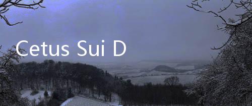 Cetus Sui Diretas, Kerugian Ditaksir Capai US0 Juta