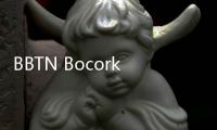 BBTN Bocorkan Rencana Usai Resmi Caplok Bank Victoria Syariah