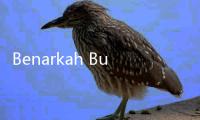 Benarkah Bulan Januari Terasa Lebih Lama? Berikut Penjelasan Ilmiahnya