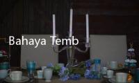 Bahaya Tembok Lembap, Bisa Jadi Sumber Penyakit Mematikan