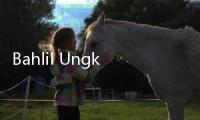 Bahlil Ungkap GAG Dulu Dikuasai Asing, Kini Dikelola Antam