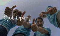 Ojol, Opang Kabar Baik dari Pak Anies Nih...