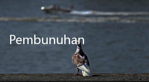 Pembunuhan Suami dan Anak, Tiga Tersangka Baru Berhasil Diringkus
