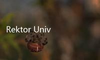 Rektor Universitas Indonesia (UI) Gratiskan Uang Kuliah Anak Dosen dan Tendik yang Lolos UTBK