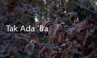 Tak Ada 'Babak' Tambahan, Minggu Depan Nasib Jokdri Diputuskan