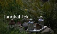 Tangkal Tekanan Global, Pemerintah Luncurkan Stimulus Ekonomi Rp24,44 T