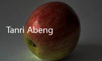 Tanri Abeng di Mata Airlangga: Indonesia Kehilangan Tokoh Korporat